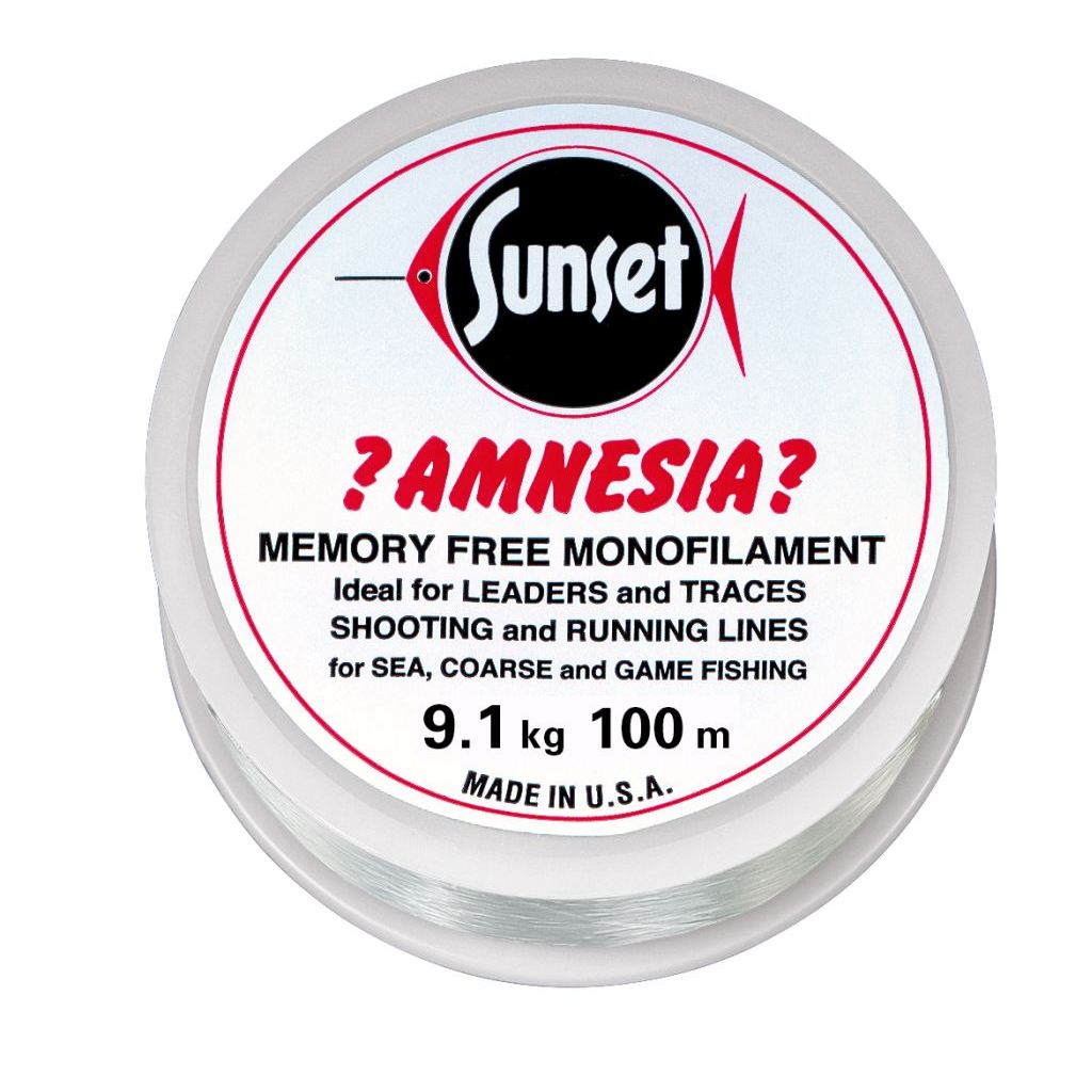 Amnesia Leader Vorfach, Klar, 20lbs 100m