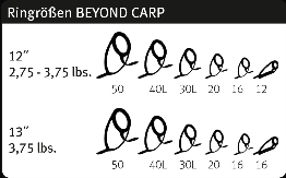 Sportex Beyond Carp Premium Karpfenrute