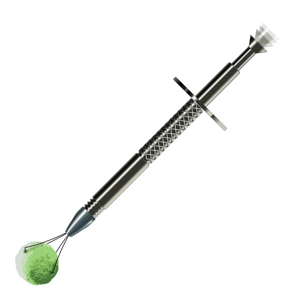 Inox 4-Prong Boilie Holder
